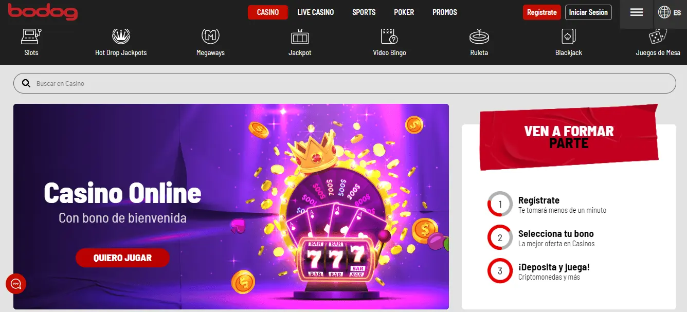 Bodog casino